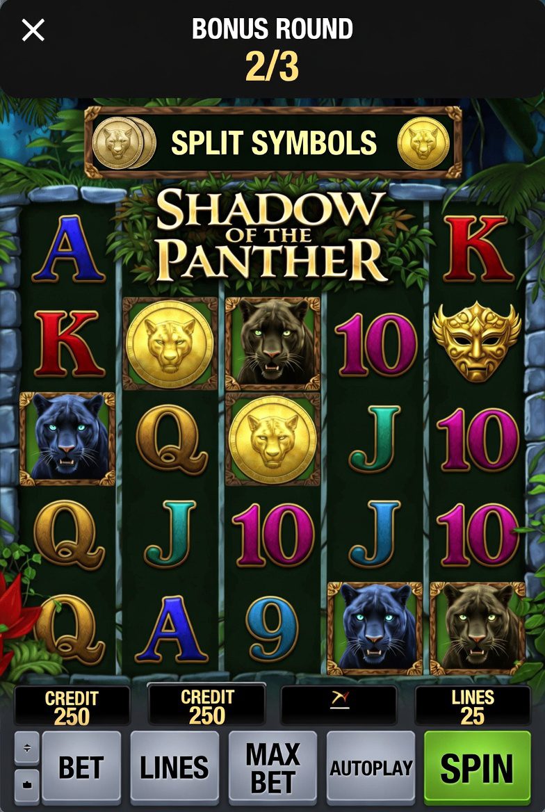 Split Symbols функциясы бар Shadow of the Panther слотындағы бонус раунды